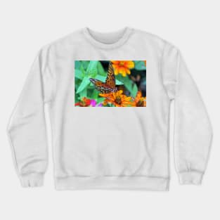 Monarch Butterfly Resting Crewneck Sweatshirt